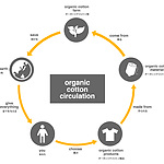 pre organic_cotton_cycle